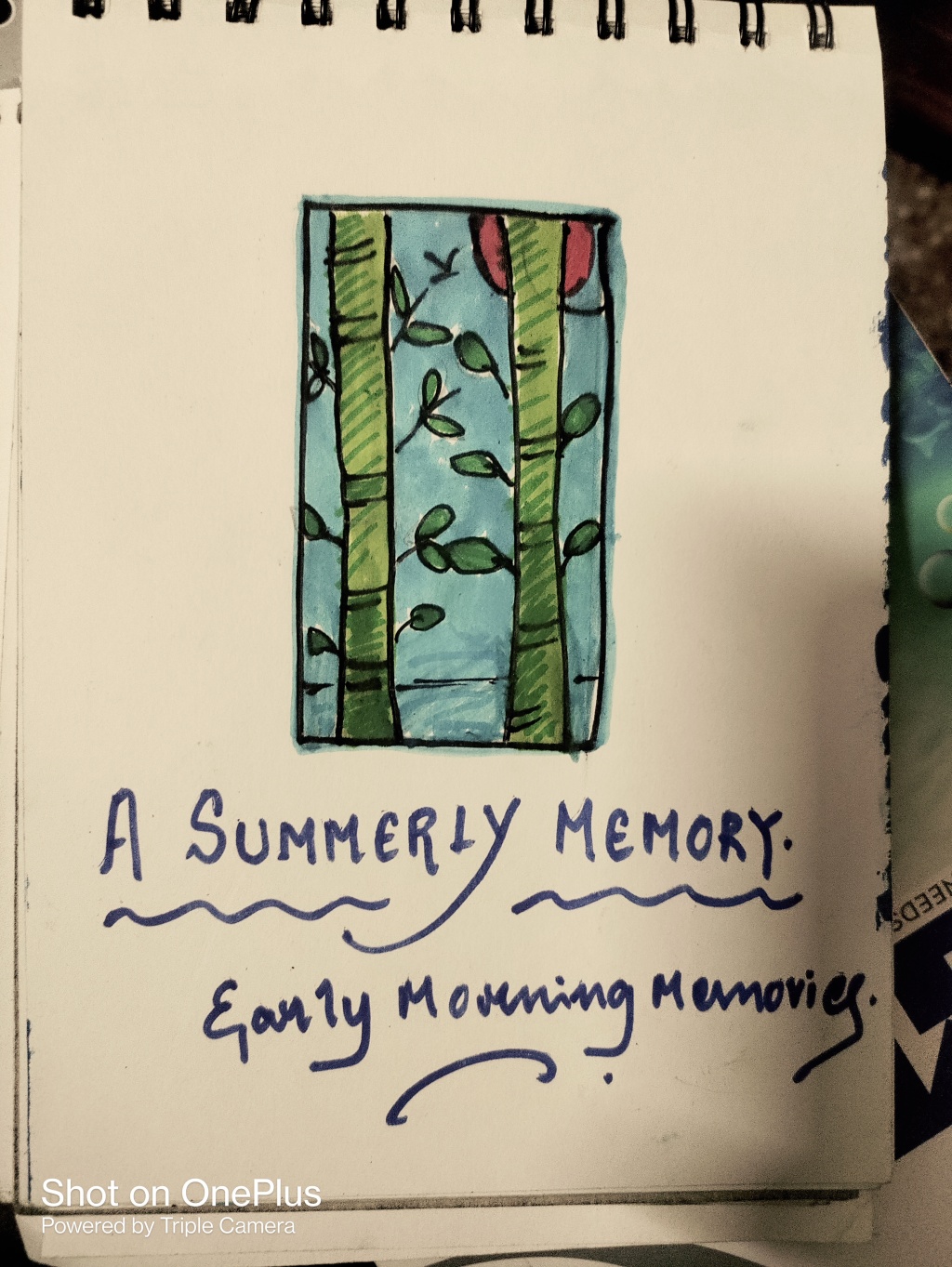 A Summerly Memory