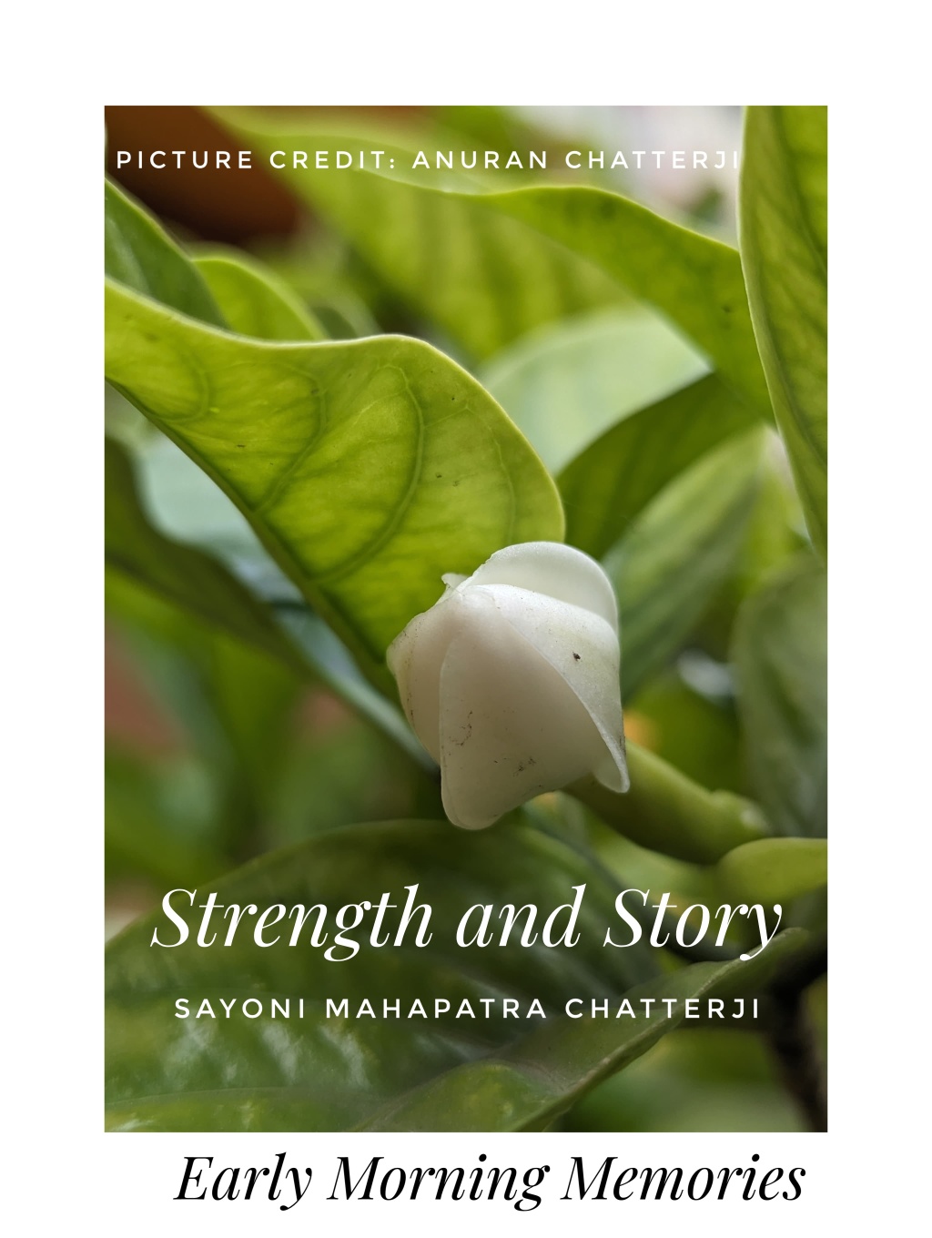 Strength and Story