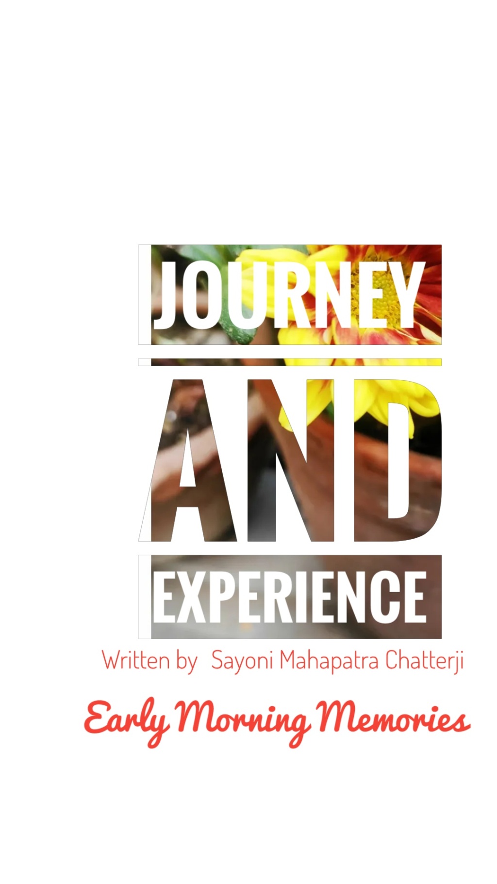 Journey and experience